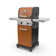 Permasteel 2-Burner Compact Propane Gas Grill with Foldable Side Tables and Grilling Tool Hooks