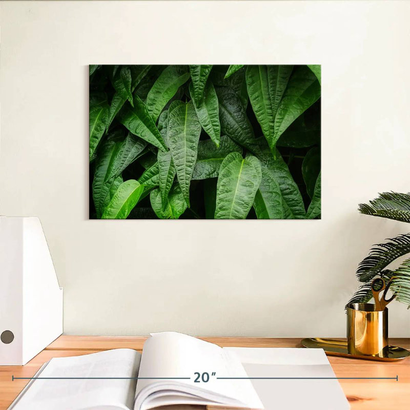Harnek feuilles de plantes fraîches, H 8 po x l 12 po