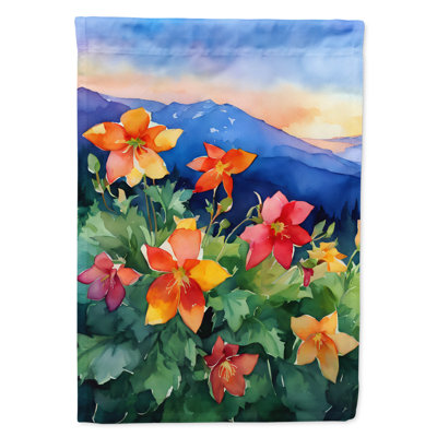 Drapeau de maison en polyester à double face H 40 po x l 28 po