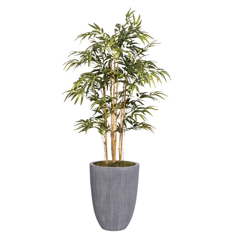 64.1'' Faux Bamboo Tree in Planter