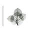 « bo leaves i », reproduction d’impression sur toile tendue-911965244