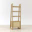 Ladder Bookcase