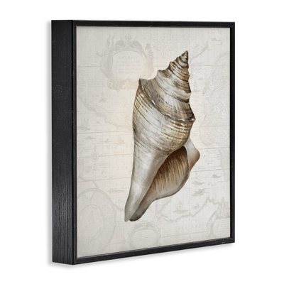 Conch Shell sur carte rétro, estampe numérique, conception par Conrad Knutsen