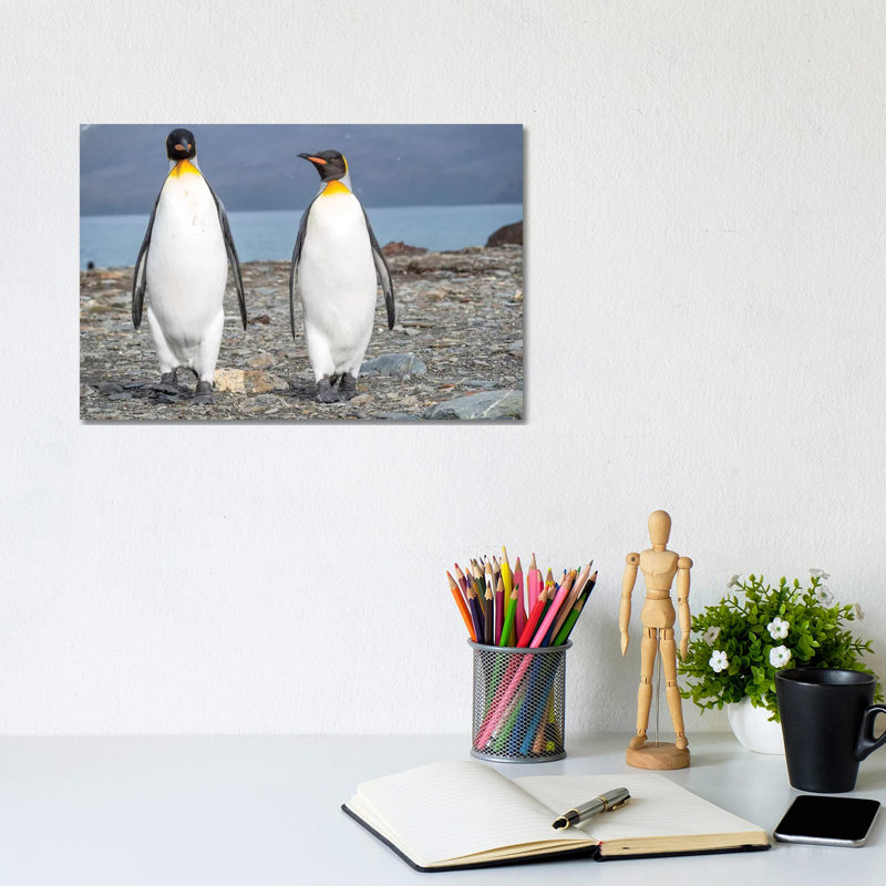 King Penguin Rookery In St. Andrews Bay. South Georgia Island by Martin Zwick - Wrapped Canvas Print, 20.32 cm H x 30.48 cm W