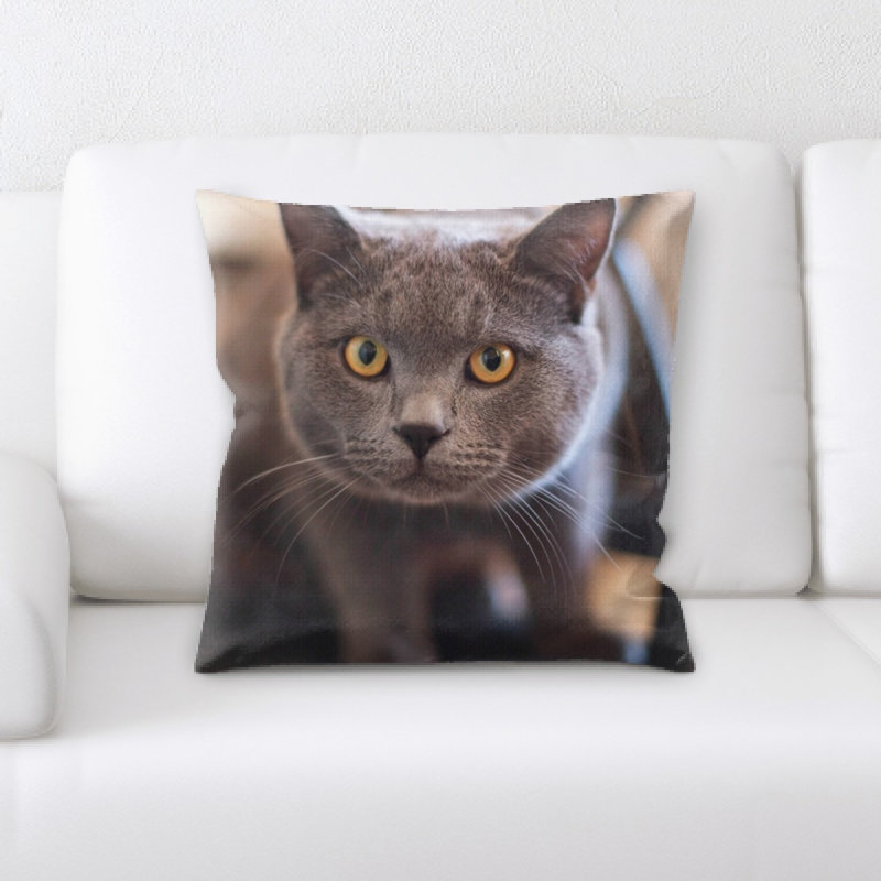 Coussin pour chat