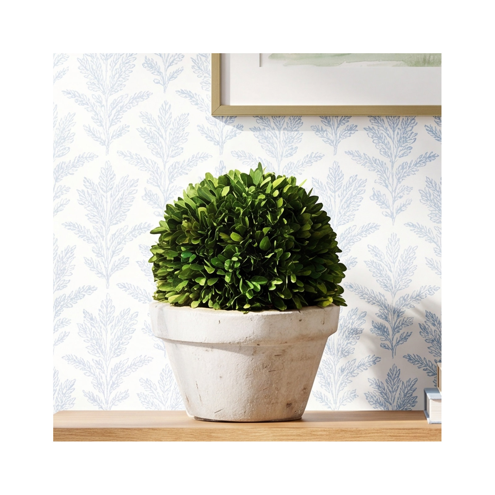 Alby 8'' Boxwood Topiary in Ceramic Pot, 9.8'' H X 9'' W X 9'' D