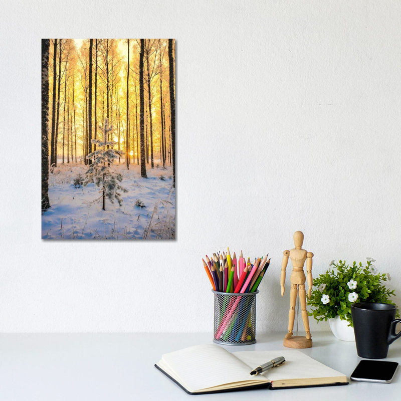 Lonely Pine by Lauri Lohi - Wrapped Canvas Print, 20.32 cm H x 30.48 cm W