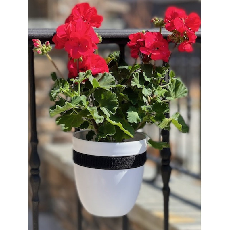 Ethelwyn Railing Planter, White