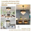 Modern Tiered Crystal Chandelier, Gold/Black, 15.7", E14 Base (No Bulb)-779995581