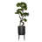 Houston 60.5'' Faux Bonsai Tree in Planter