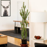 Artificial Green Cactus, Black Plastic Planters Pot