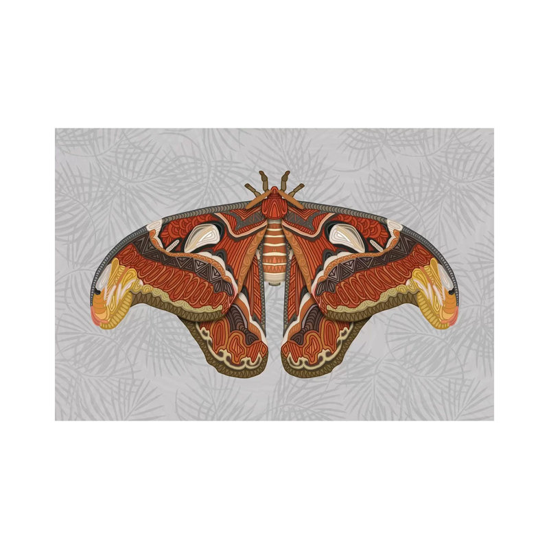Atlas Moth - Light 1 Piece Wrapped Canvas Wall Art, 101.6 cm H x 66.04 cm W x 1.91 cm D