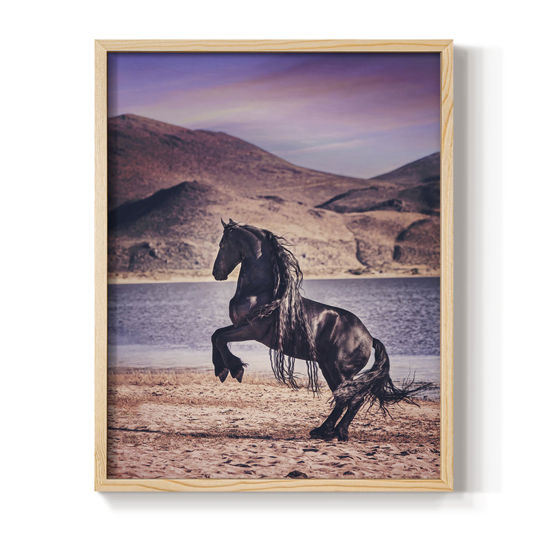 Sunlit Horses II, reproduction encadrée - bois massif, H 21 po x l 17 po