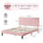 Velvet Upholstered Platform Bed Headboard and footboard with soft-padded vertical channel quilting-759721670-759721665