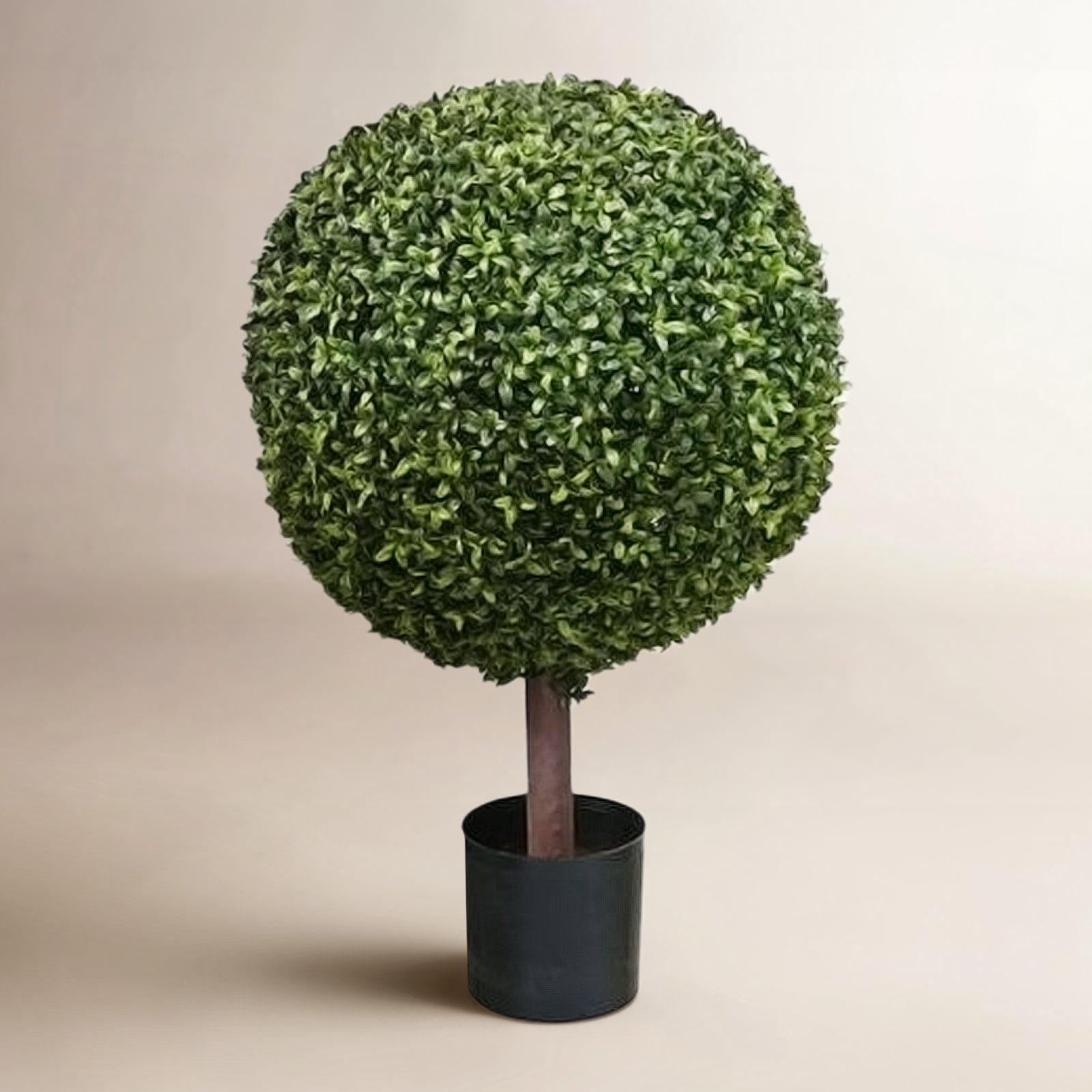 33'' Plant