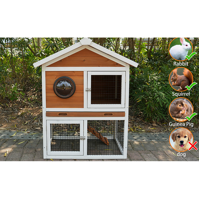 Cage à lapins d'extérieur avec de multiples caractéristiques pour les petits animaux de compagnie