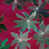Fuchsia est en rupture de stock