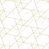 Geometric Vinyl Wallpaper Roll by Jamie Graney