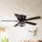 Capitol 48'' Ceiling Fan with Light Kit-1342446029