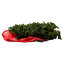 Julyan Tree Storage-556161846