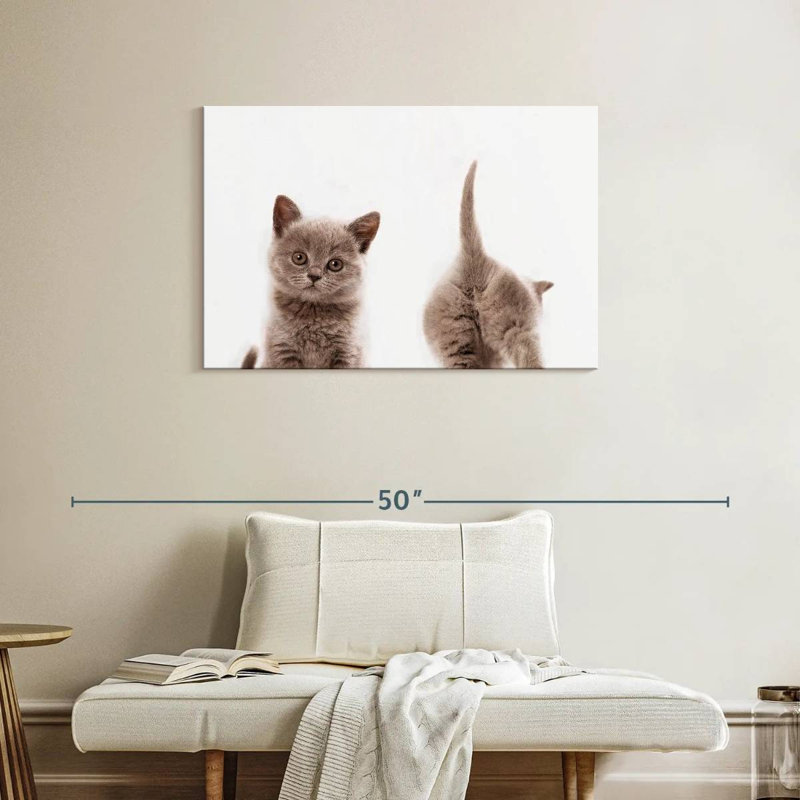 Crowle Kitten Front And Back Portrait, 24" H x 36" W