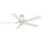 54" Compass Point 5 - Blade Standard Ceiling Fan with Pull Chain-310487961