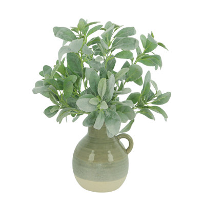 Lamb's Ear In A Ceramic Vase