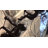 Billiejoe Climbing Man Wall Art-472892453