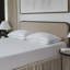 Oreiller traditionnel en duvet La-Z-Boy, très grand-114658046