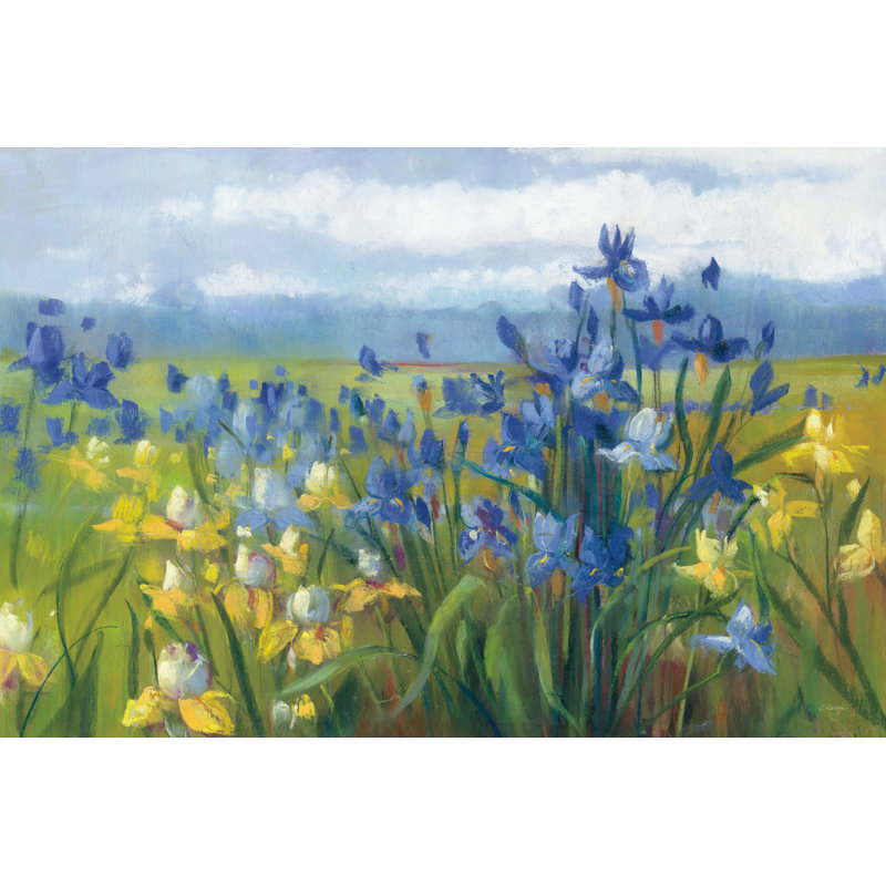 Champ de fleurs bleues et jaunes, H 24 po x l 36 po