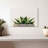 Harnek Stone Pot Succulent-106307264