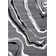 Linnea Abstract Indoor Rug