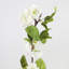 Artificial Cherry Blossom Faux Floral-526748643