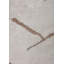 Rapture Abstract Area Rug-1175541415