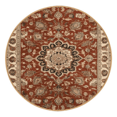 Machine Washable Persian Brown Area Rug