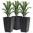 Pot Planter-1787263852