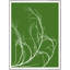 Tumbleweed Botanical Print-524927330-524927333