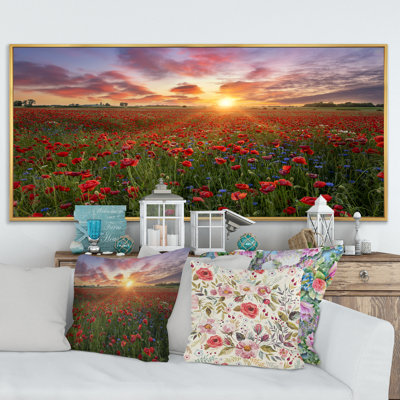 Sunrise of Blossoming Poppie Field - photographie sur toile