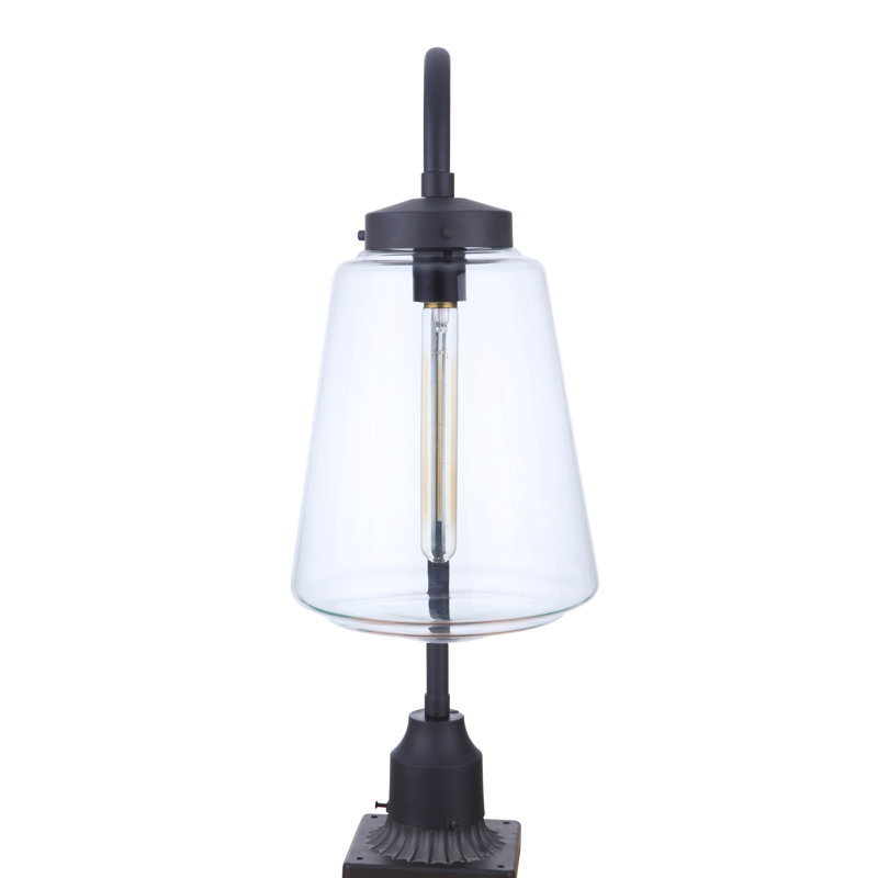 Ammadis Transparent Lantern Head, Midnight