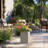 Jabrayah Handmade Planter Box-1881925148-1881925152