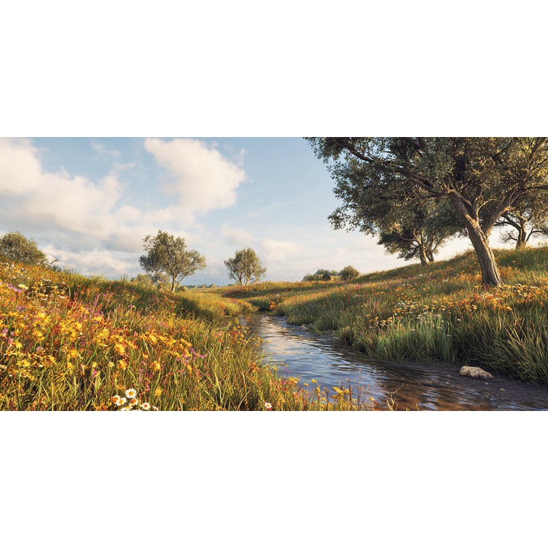 Art mural sur toile sauvage Wildflower Creek, H 20 po x l 40 po