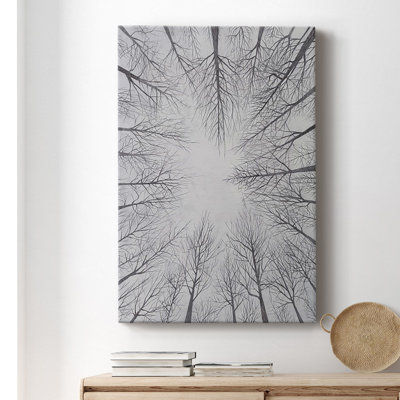 " Deciduous Canopy I "