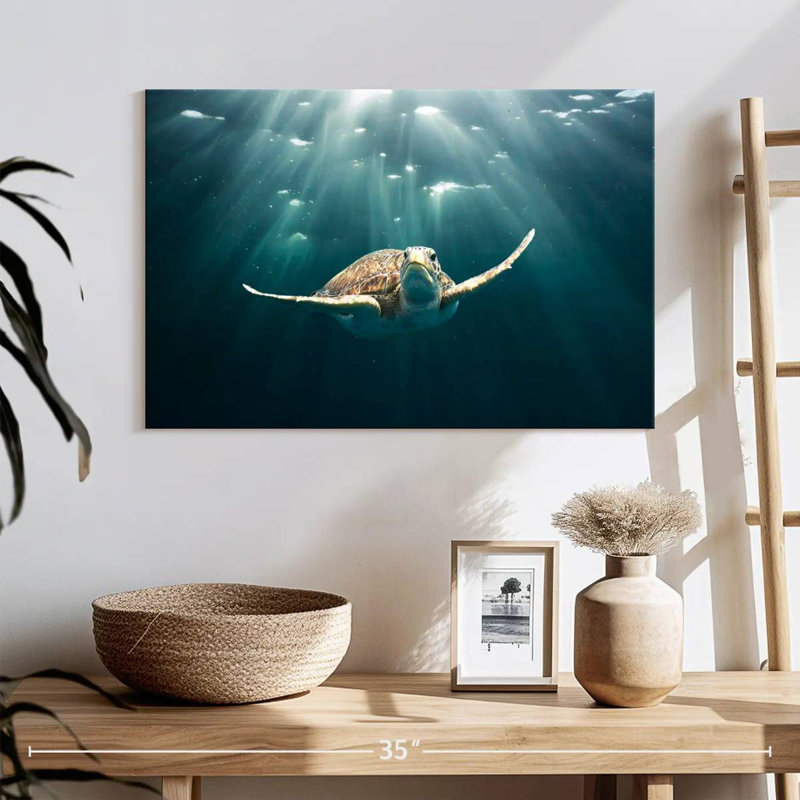 Brampt Red Sea Green Turtle, 16'' H X 24'' W