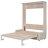 Queen Size Murphy Bed with Sofa and LED, Beige