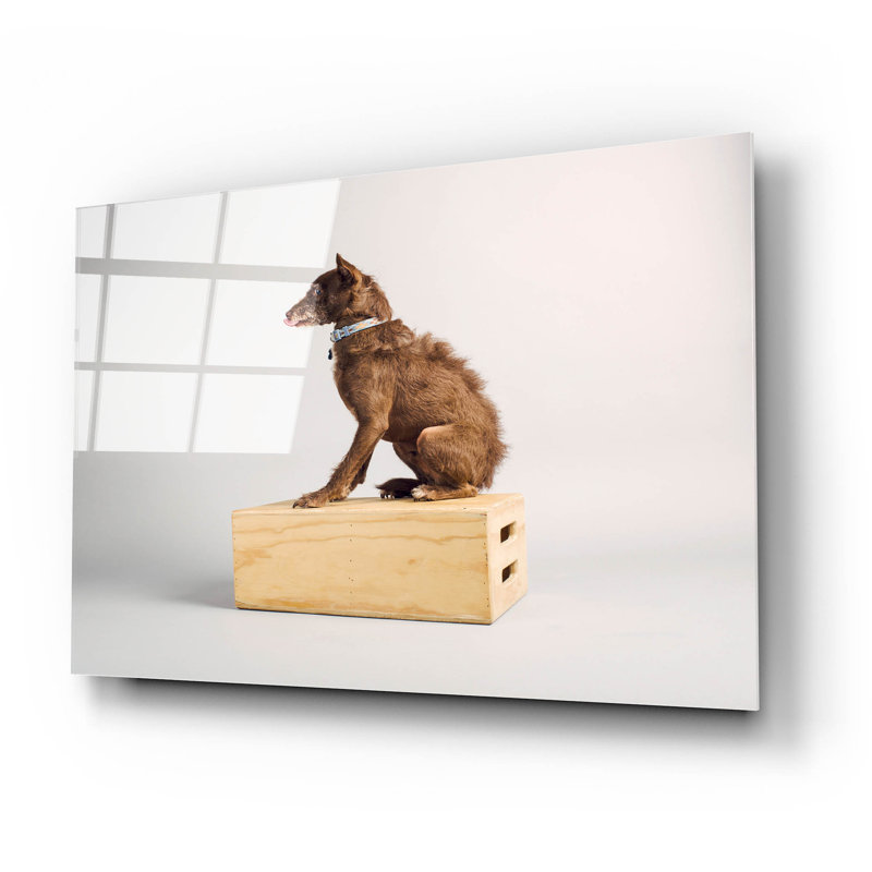 «Side Eye» par Susan Sabo, H 16 po x l 24 po x P 0,2 po