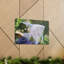 Art mural Albino-1681316912