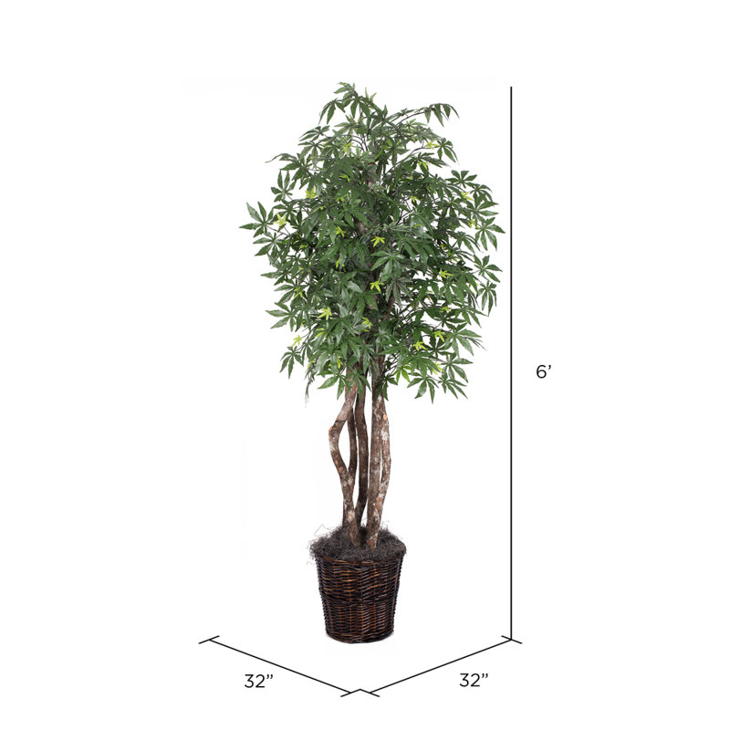 72'' Faux Tree in Wicker/Rattan Basket