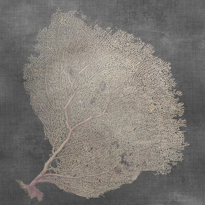 Éventail naturel