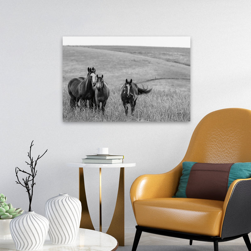 Contemporary Montana Moves Crop, H 24 po x l 16 po