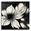 «Flowers Black White 1» par Ray Heere, art mural en verre acrylique, 12 po x 12 po-101672341